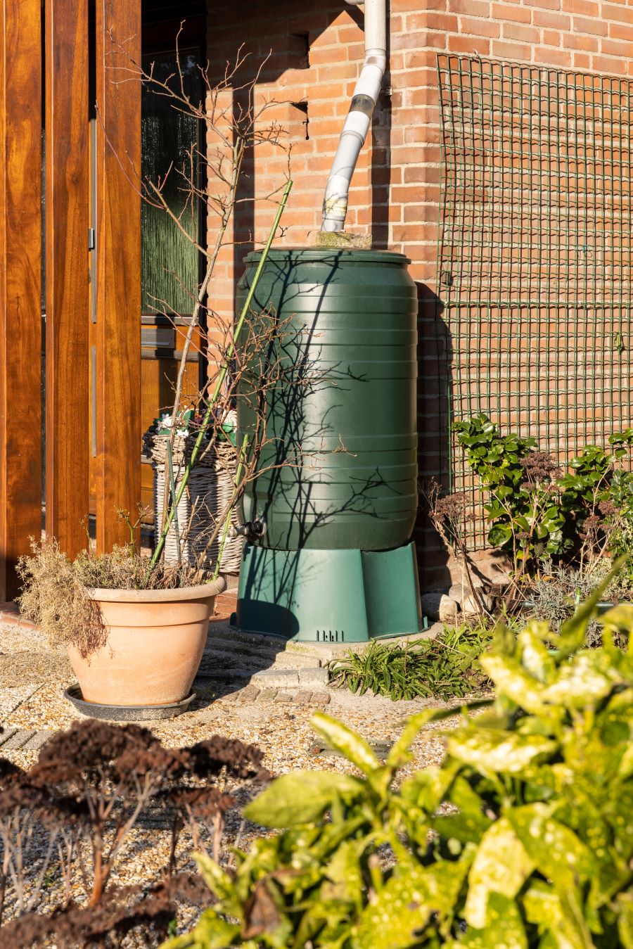 Časť záhrady so sudom na zachytávanie dažďovej vody.