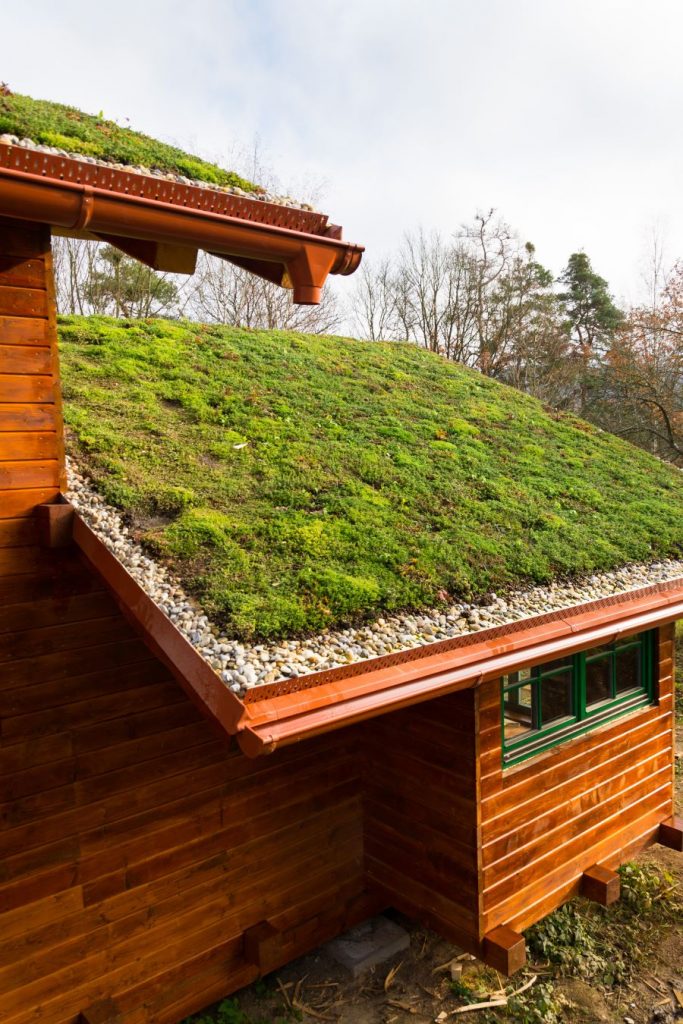Časť zelenej šikmer strechy.