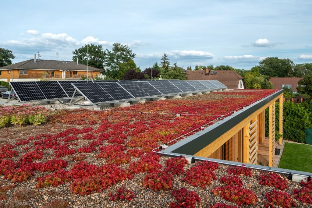 Zelená strecha moderného domu s fotovoltaickými panelmi a sukulentmi.