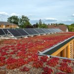 Zelená strecha moderného domu s fotovoltaickými panelmi a sukulentmi.