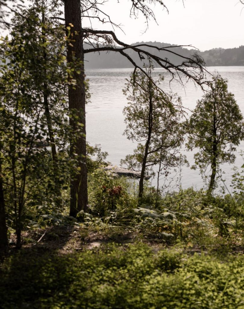 Výhľad na zeleňou a stromami porastený breh fjordu s vodou.