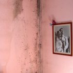 Ružova stena so starým obrazom, postihnutá plesňou.
