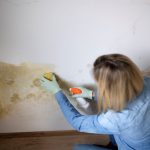 Žena čistí pleseň na stene pomocou prípravku v rozprašovači a špongie.