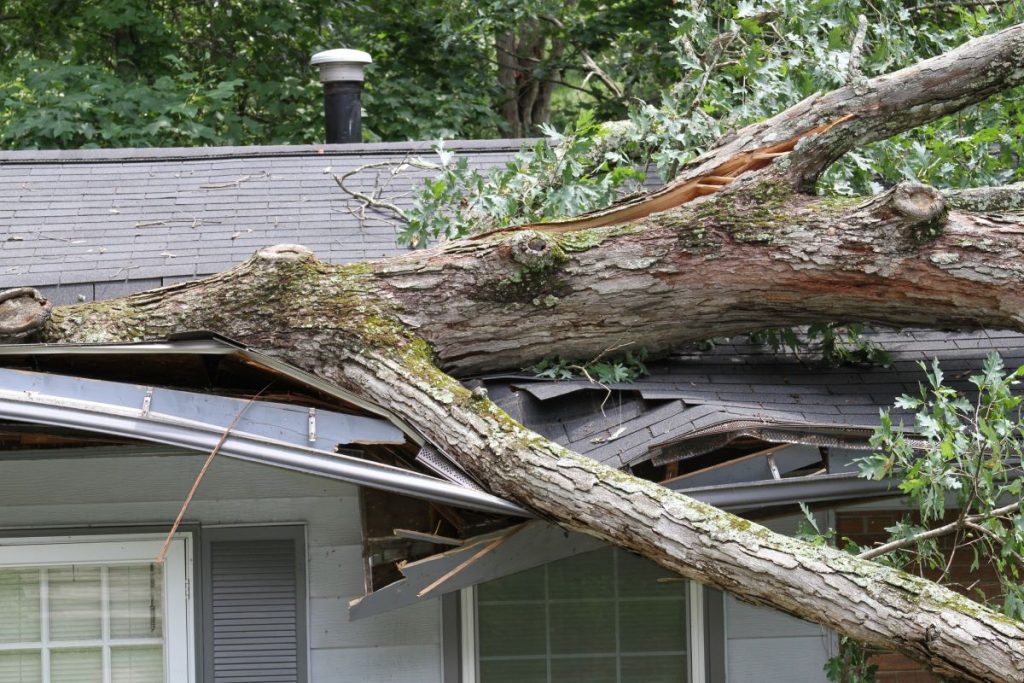 Detail na strechu domu poškodenú vývráteným stromom.