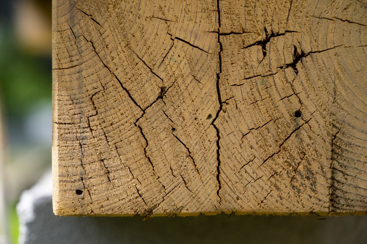 Detail na štruktúru dreva.