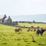 Kamenná kaplnka s červenými oknami a dverami, situovaná v idylickom vidieckom prostredí, obklopená pasúcim sa dobytkom.