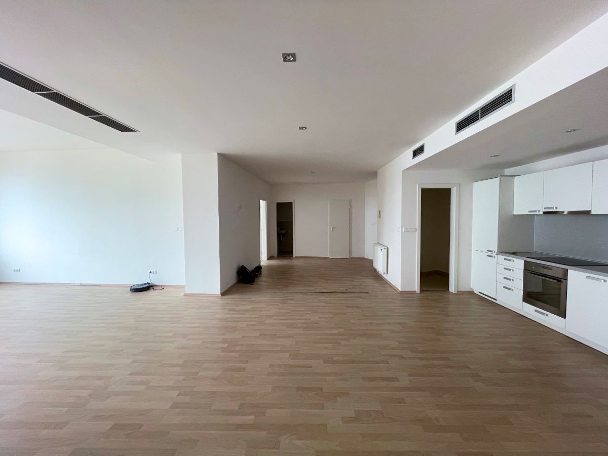 Predchádzajúca rekonštrukcia bytu nesplnila očakávanú kvalitu. Byt podľa slov architekta pôsobil zastarano, aj keď sa v ňom nebývalo.