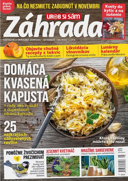 Záhrada 08/2024