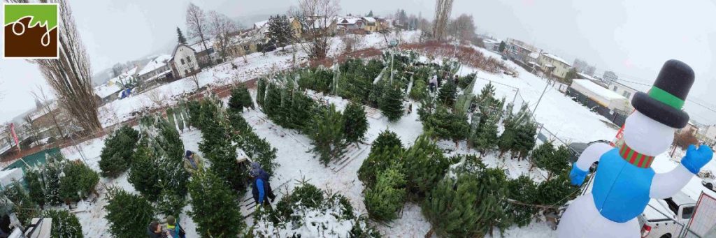 Panoramatický záber na predajňu zivevianocnestromceky.sk