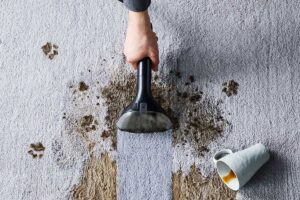 Test čističa škvŕn a tepovača Rowenta Clean It