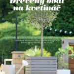 Drevený obal na kvetináč v magazíne Môj dom Špeciál 02/2025.