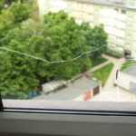 Detail prasknutého skla z termálneho šoku.