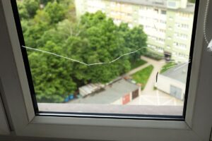 Detail prasknutého skla z termálneho šoku.