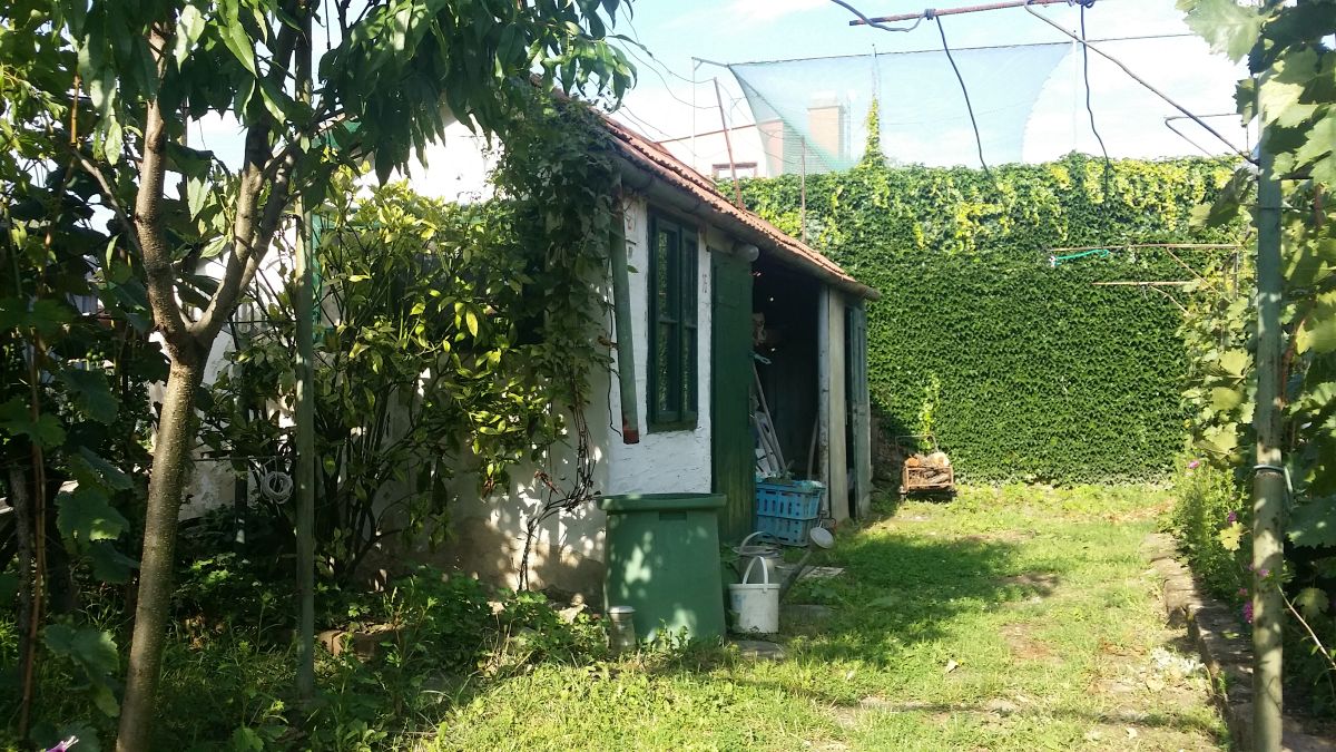 Pôvodný záhradný domček s dielňou a priestorom na uskladnenie uhlia, ktorú staval architektov starý otec v 50. rokoch. Jeho konštrukcia však bola v nevyhovujúcom stave, preto ho nahradila jeho murovaná kópia.
