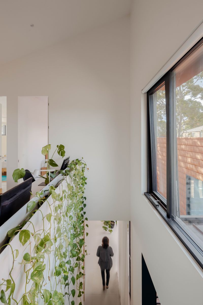 Interiérové rastliny nie sú v dome len doplnkom, ale súčasťou architektonického zámeru vytvoriť v interiéri biofilný dizajn.