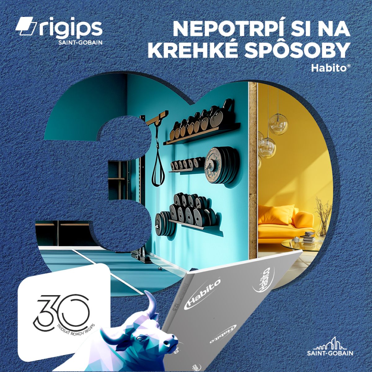 Grafika Rigips 30 rokov.