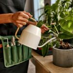 Žena pri zalievaní rastliny.