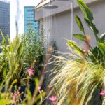 Vonkajšia sprcha s chrómovou sprchovou hlavicou obklopená exotickými zelenými rastlinami na terase s výhľadom na mesto.