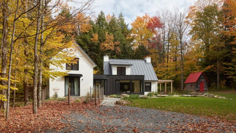 Moderný biely dom s čiernymi a drevenými prvkami v lese.