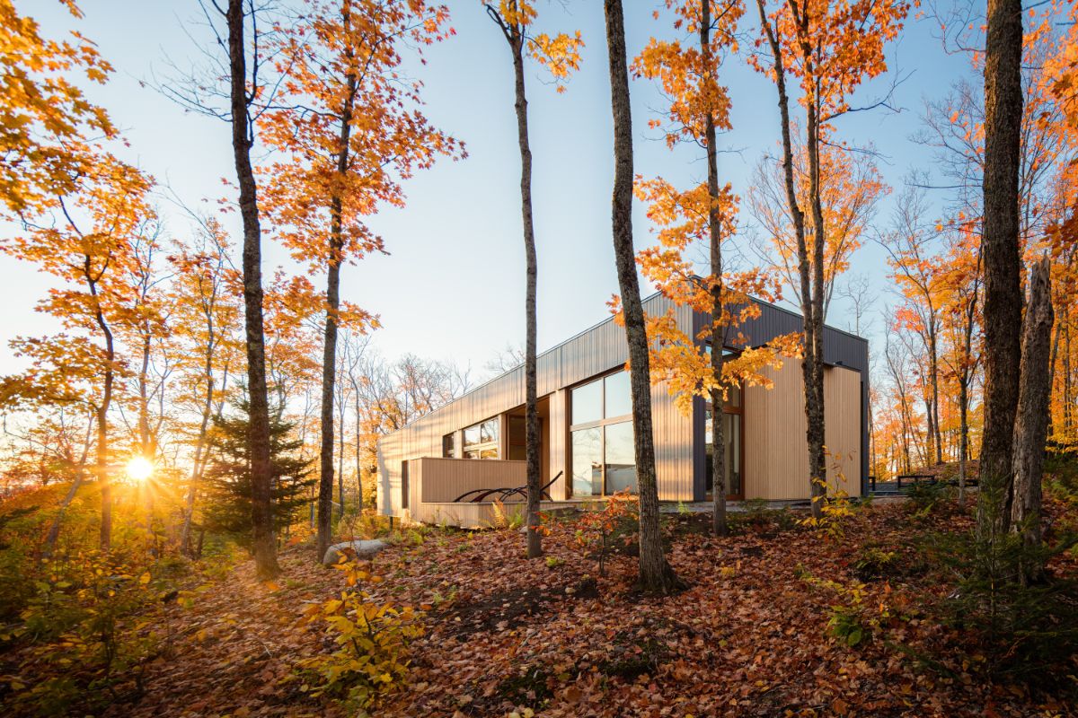 Dom je z každej strany prepojený s lesom navôkol. Niekde len oknami, inde priamo terasami aj s ležadlami.