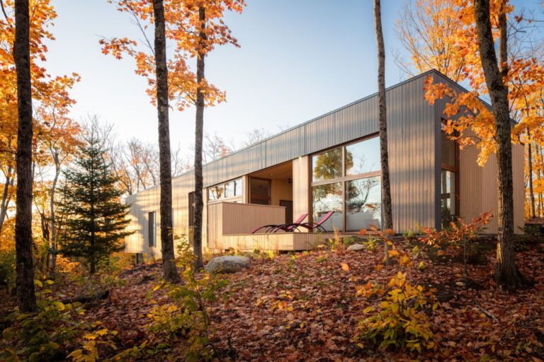 Moderný dom s terasou s drevenými lamelami, svetlým dreveným a tmavosivým obkladom uprostred jesenných stromov.