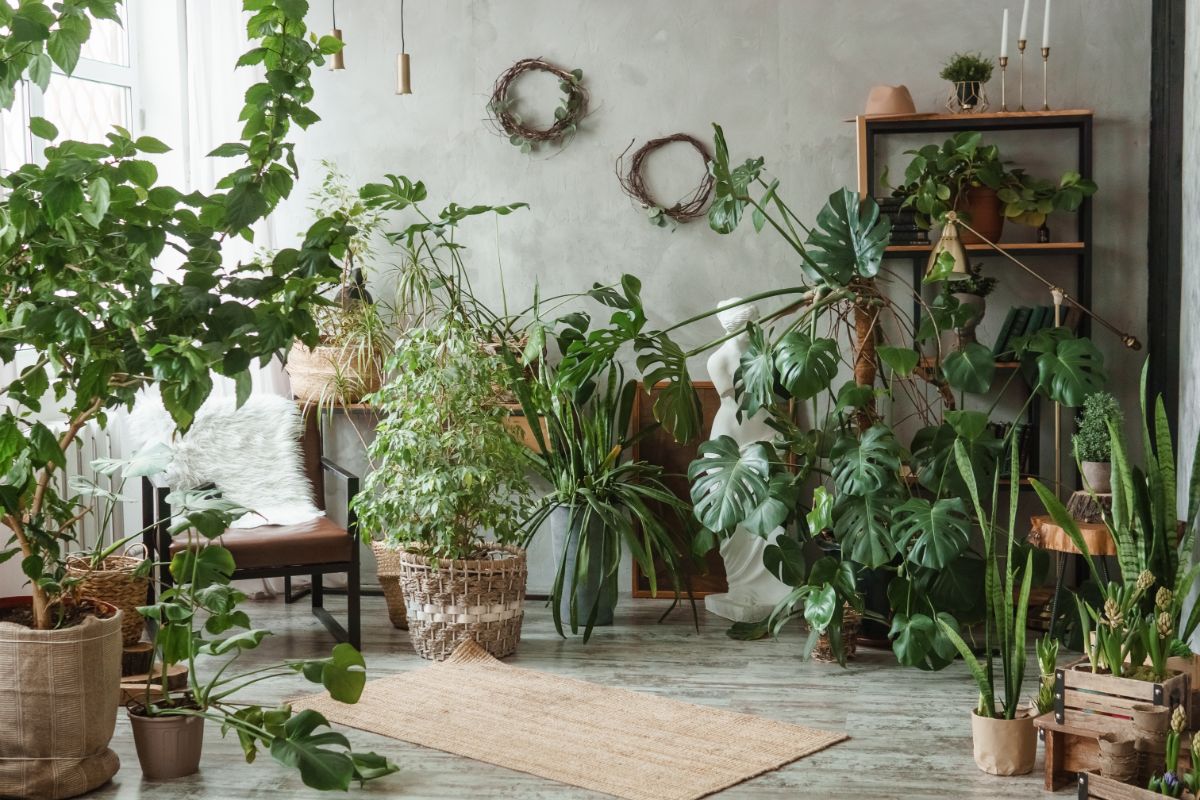 Miestnosť plná kvetín