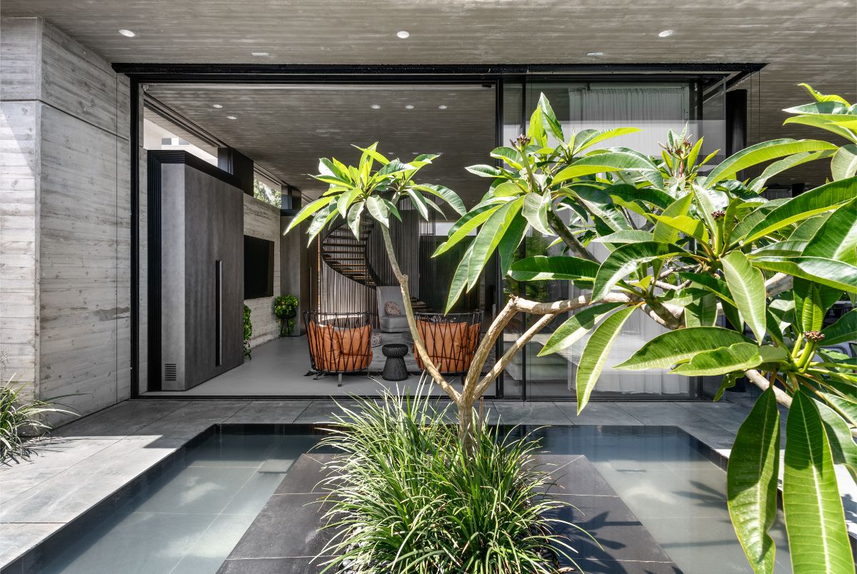 Odrazové jazierko s figovníkom je priamym pokračovaním obývacej izby, čo posilňuje prepojenie interiéru a exteriéru.