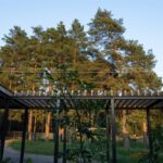 Čierna kovová pergola s lamelami.