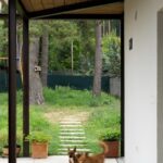 Pohľad z terasy na dláždený chodník cez dvor.