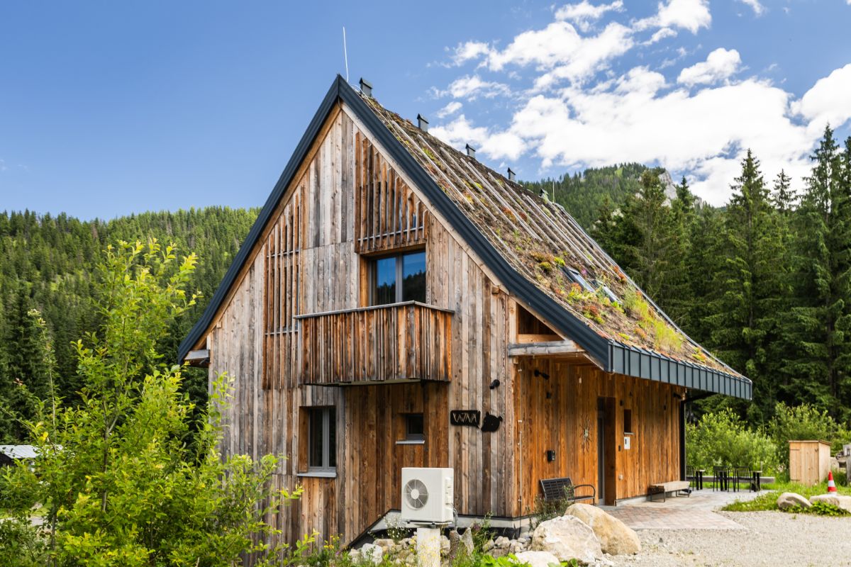 Drevená chata so zelenou vegetačnou strechou v slnečnom prostredí lesa.