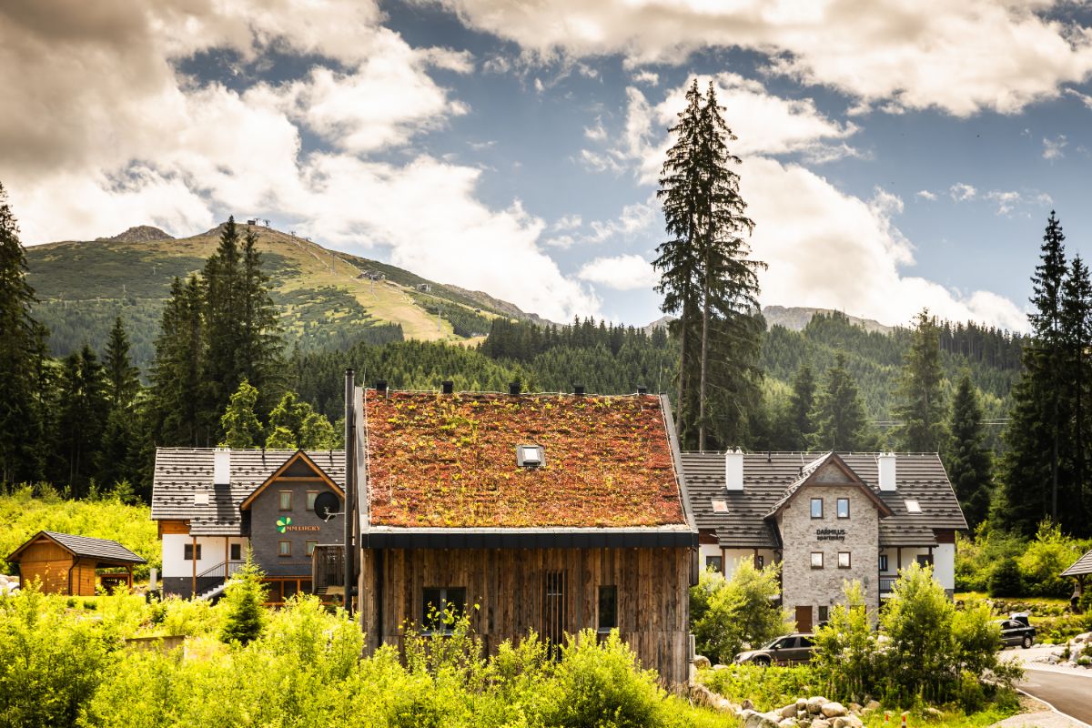 Chata s dreveným obkladom a zelenou vegetačnou strechou uprostred horského strediska.