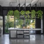 Čierna moderná kuchyňa s betónovou podlahou, industriálnym ostrovčekom a visiacimi rastlinami.