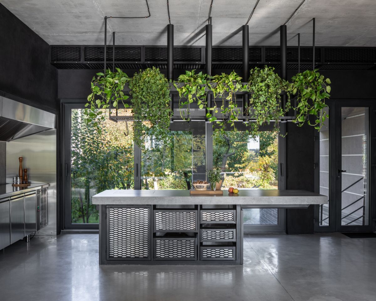 Čierna moderná kuchyňa s betónovou podlahou, industriálnym ostrovčekom a visiacimi rastlinami.