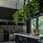 Kuchyňa s industriálnym štýlom, nerezovými spotrebičmi, betónovou linkou a veľkým závesným kvetináčom s popínavou zeleňou.