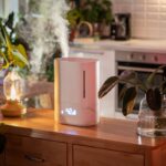 Zvlhčovač vzduchu na drevenej komode vedľa zelených rastlín.