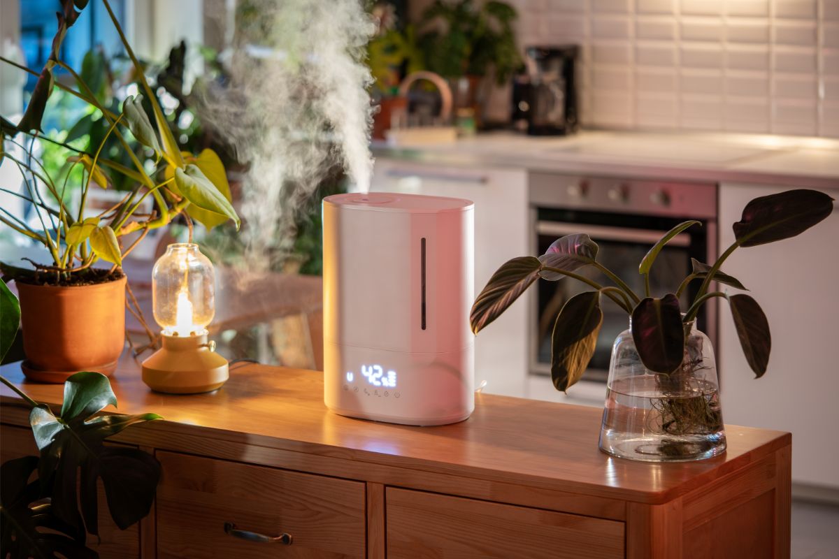 Zvlhčovač vzduchu na drevenej komode vedľa zelených rastlín.