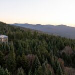 Pohľad z diaľky na poschodový dom v ihličnatom lese.