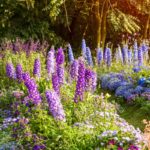 Záhon s farebnými stračonôžkami.