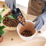 Sypanie keramzitu do črepníka.