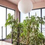 Interiérová zeleň pri kovovom zábradlí pod bielym guľatým lampiónom a ružovkastým betónovým stropom.