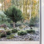 Divoká skalnatá záhrada s hustými zelenými ihličnanmi a vysokými listnatými stromami v pozadí.