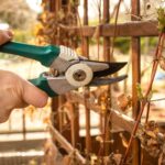 Strih plamienka na drevenej konštrukcii.