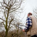 Muž pri reze stromu v zime.