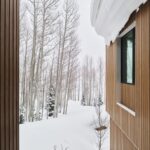 Fasáda s vertikálnym dreveným obkladom, zasnežená strecha a výhľad na hustý brezový les v zimnom období.