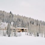 Moderná drevená vila s plochou strechou čiastočne ukrytá v zasneženom brezovom lese na svahu hory.