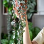 Detail na človeka držiaceho lampášik v kvetináči vo vzduchu.