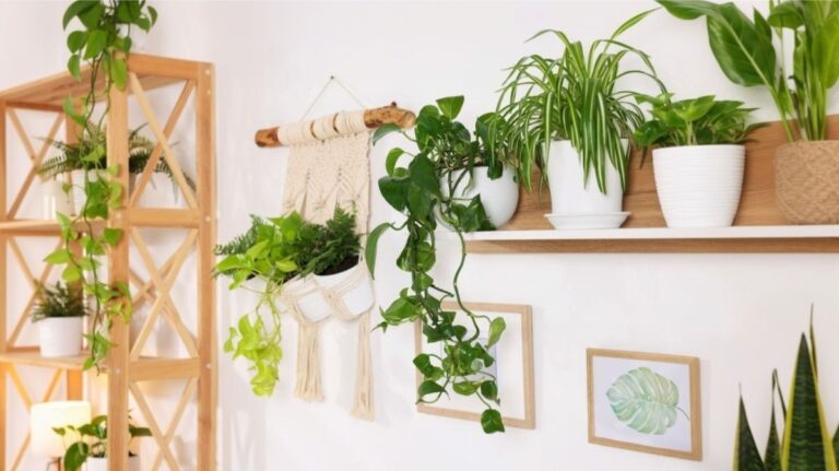 Interiér s policami a makramé dekoráciou s izbovými rastlinami.