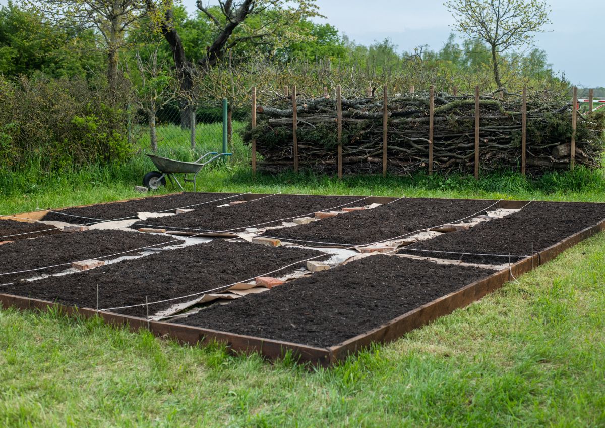 Záhony bez rýľovania.