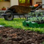 Fúrik a sadeničky v škatuli pri hriadke.