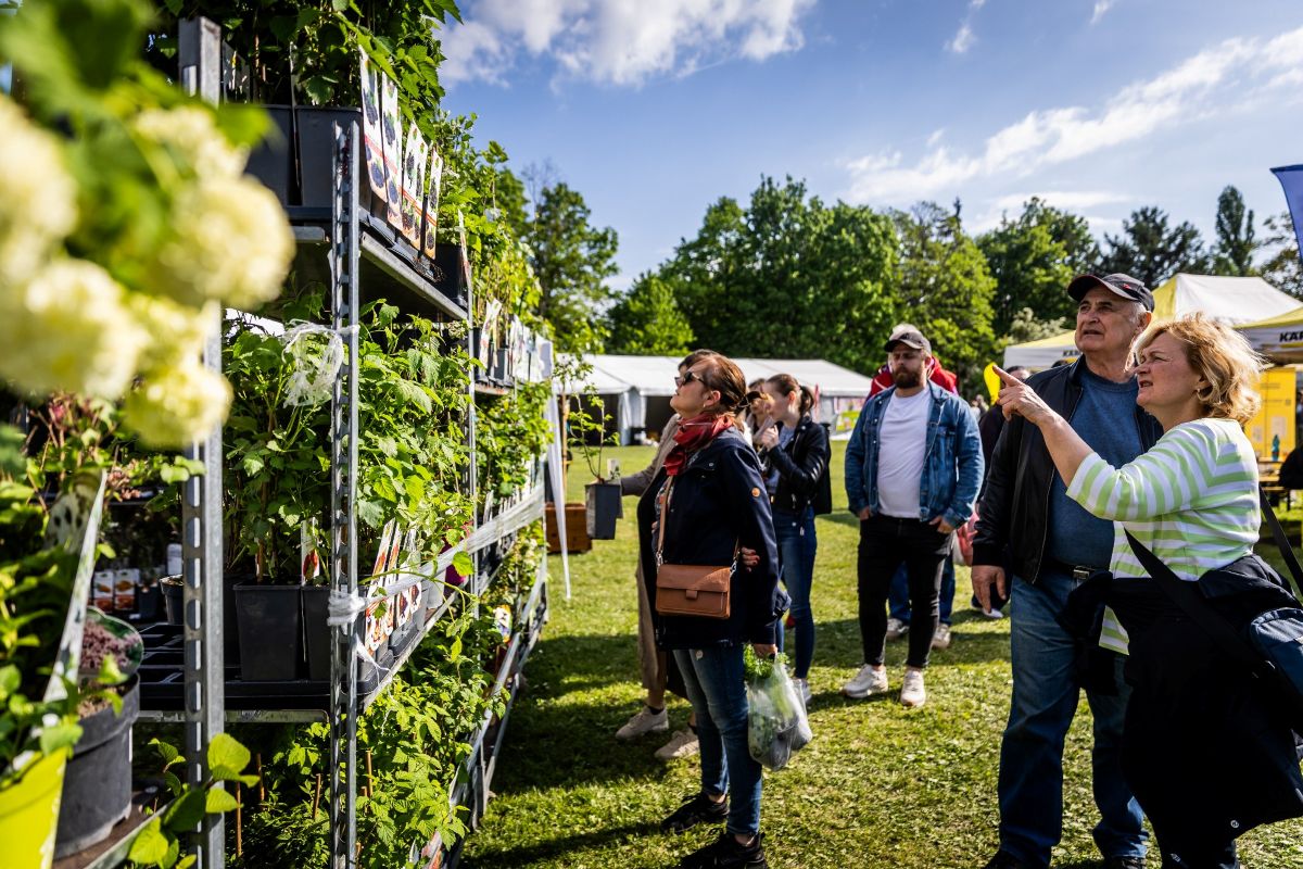Ľudia pri stánkoch na Festivale záhrad a hobby.